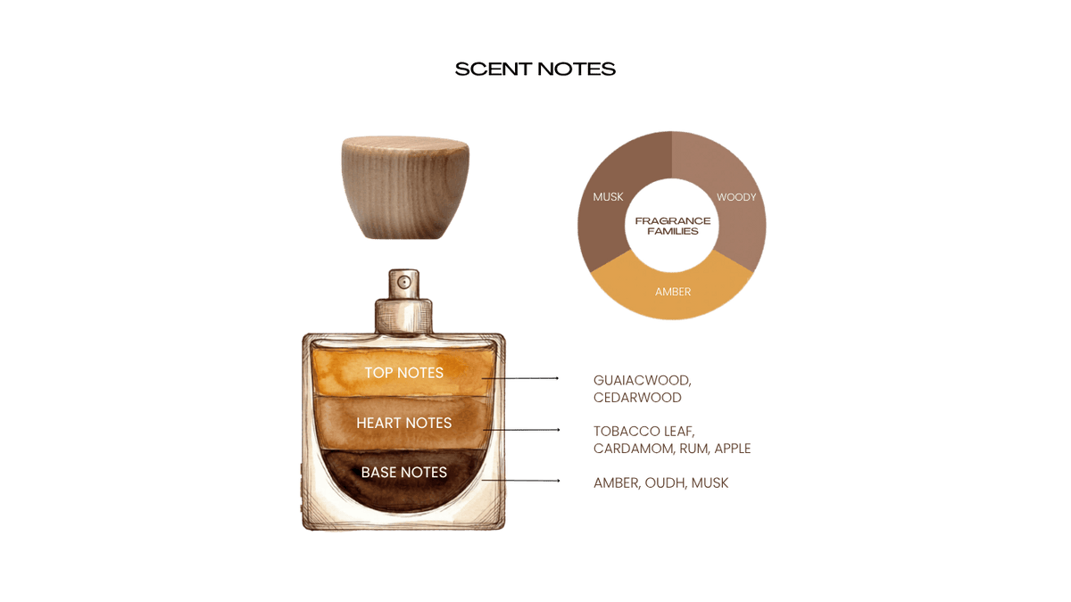 Fragrance notes illustration Power House
