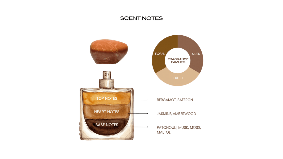 Fragrance notes illustration — Scene Stealer